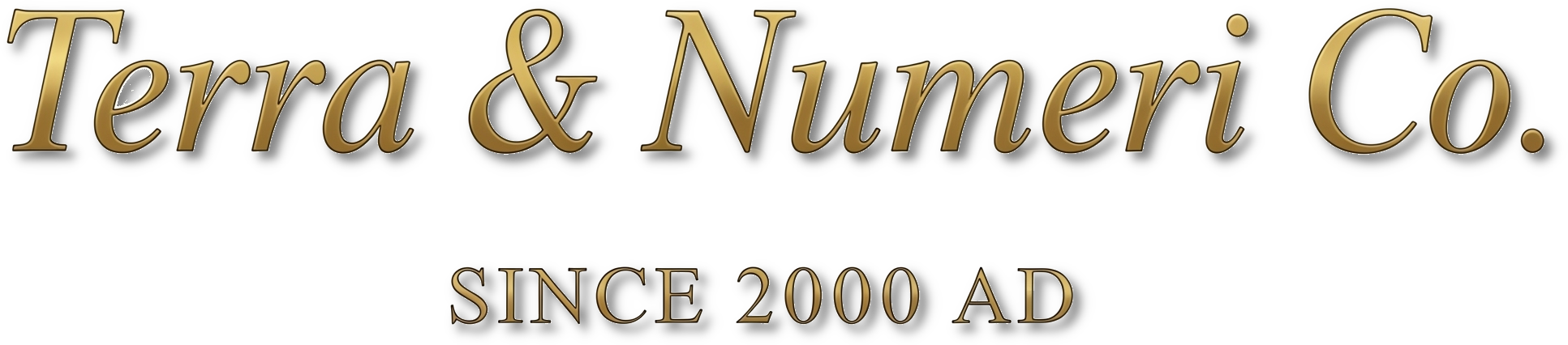 NUMERI j.d.o.o. Logo